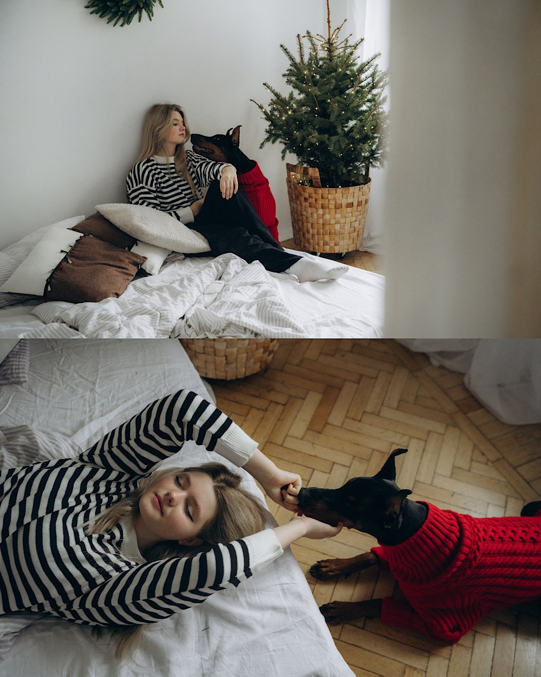 Саша и Асти. Фотограф анималист в Москве и Санкт-Петербурге Свиридова Анна