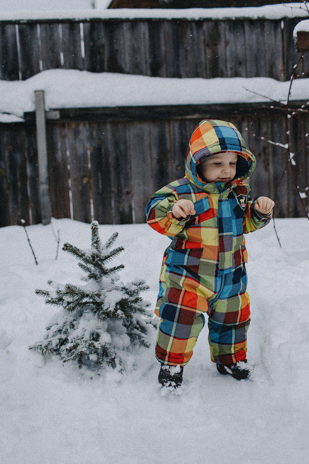 Виктория и большое семейство. Семейный домашний фотограф Москва Зеленоград Настя Маркова