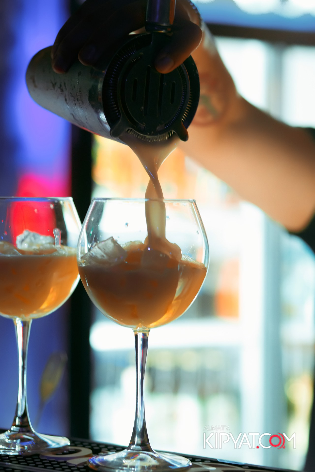 УХО И МЕДВЕДЬ НА САИНА. КИПЯТКОМ АЛМАТЫ!