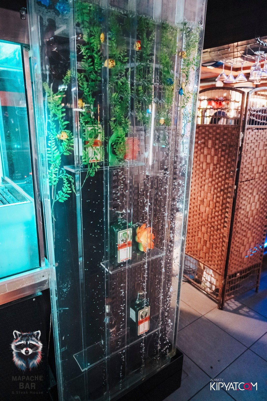 MAPACHE BAR. КИПЯТКОМ АЛМАТЫ! Фотосъемка мероприятий в Алматы