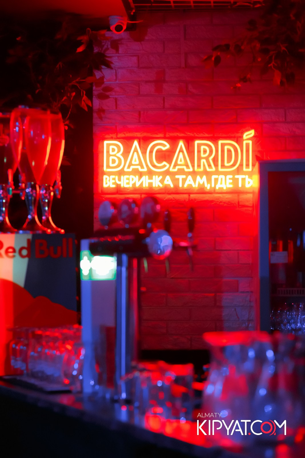 УХО И МЕДВЕДЬ САИНА. КИПЯТКОМ АЛМАТЫ!