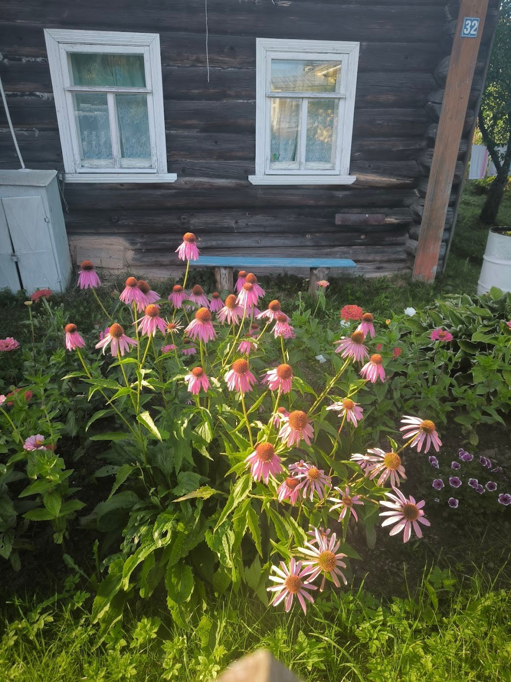 УГЛИЧСКИЙ. Культурный кросс