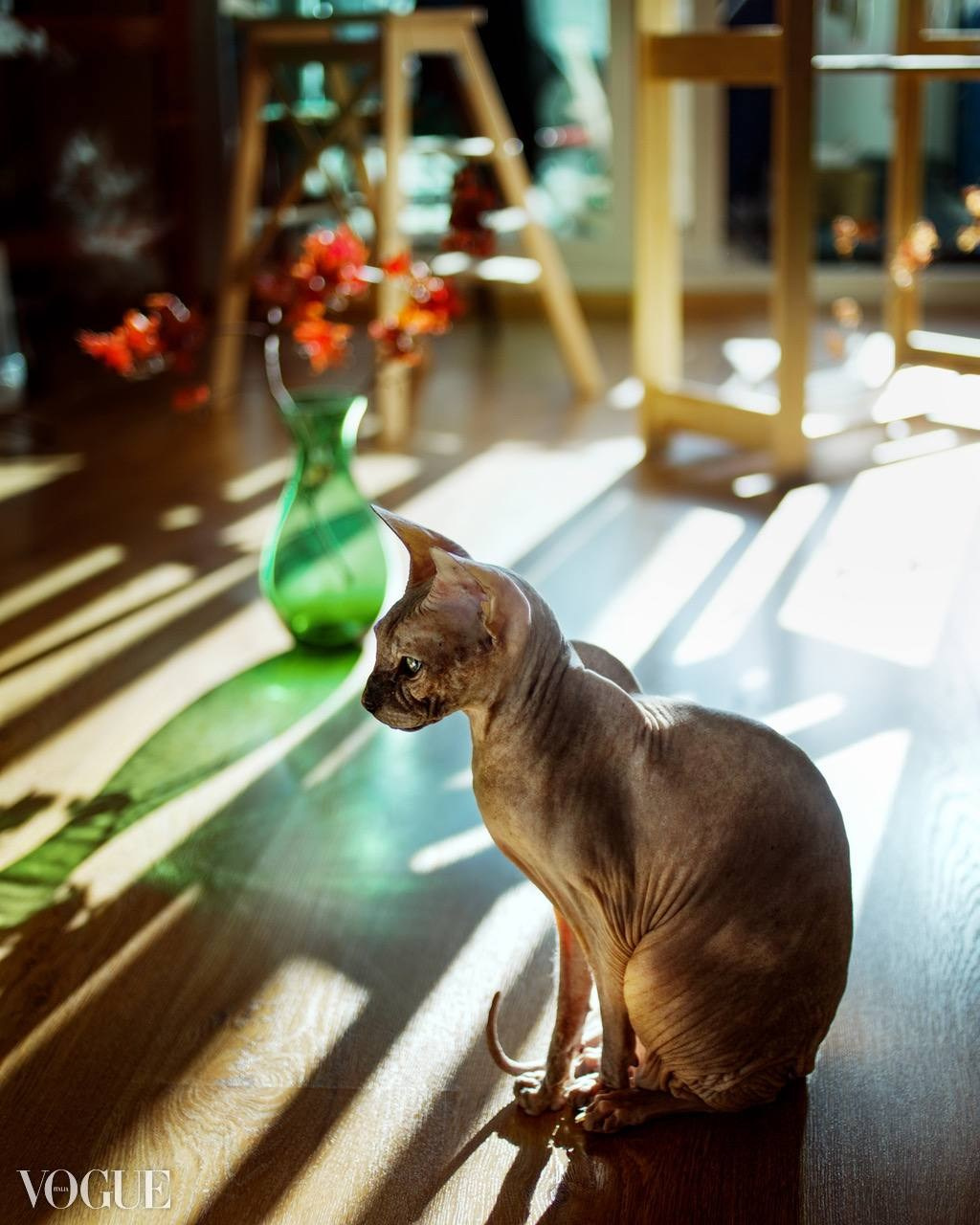 Галерея 1. Наталья Жукова. Курсы фотографии