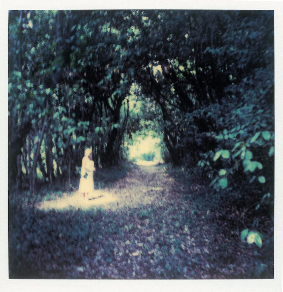 Композиция кадра. Семейный и свадебный фотограф в Майкопе Михаил Мартиросян