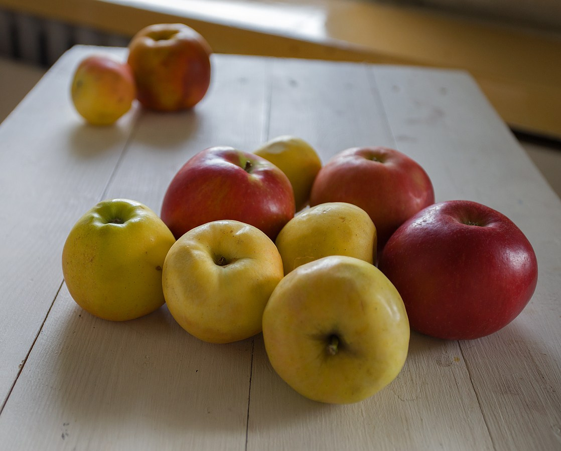 Бесчеловечно. натюрморт. пейзаж. Мастерская Демченко