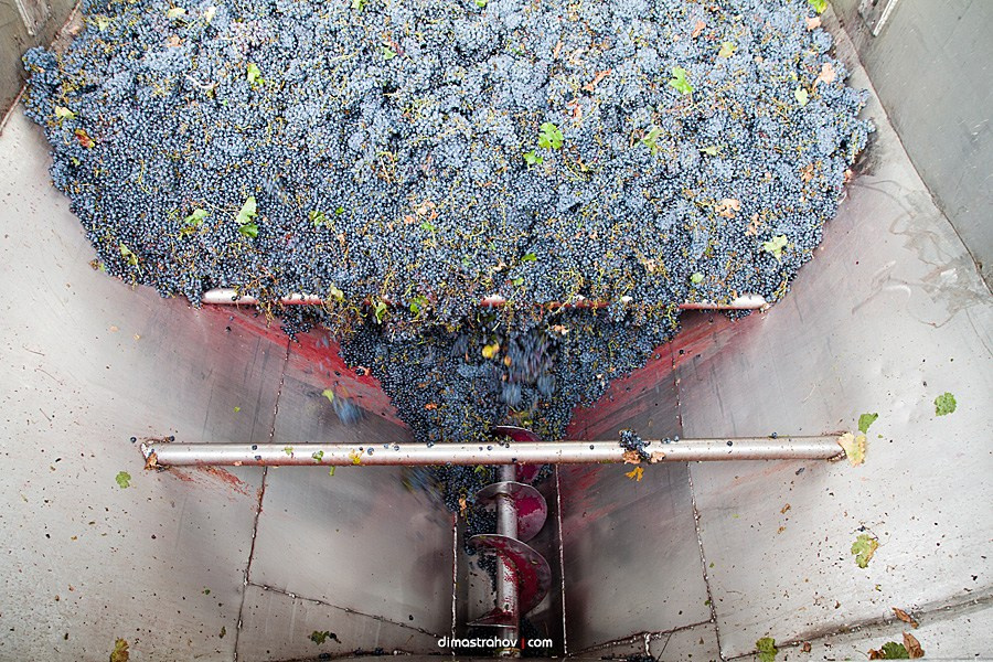 Винзавод Качинский +. Свадебный фотограф, фотосъемка в Крыму, Севастополе, Симферополе, Ялте