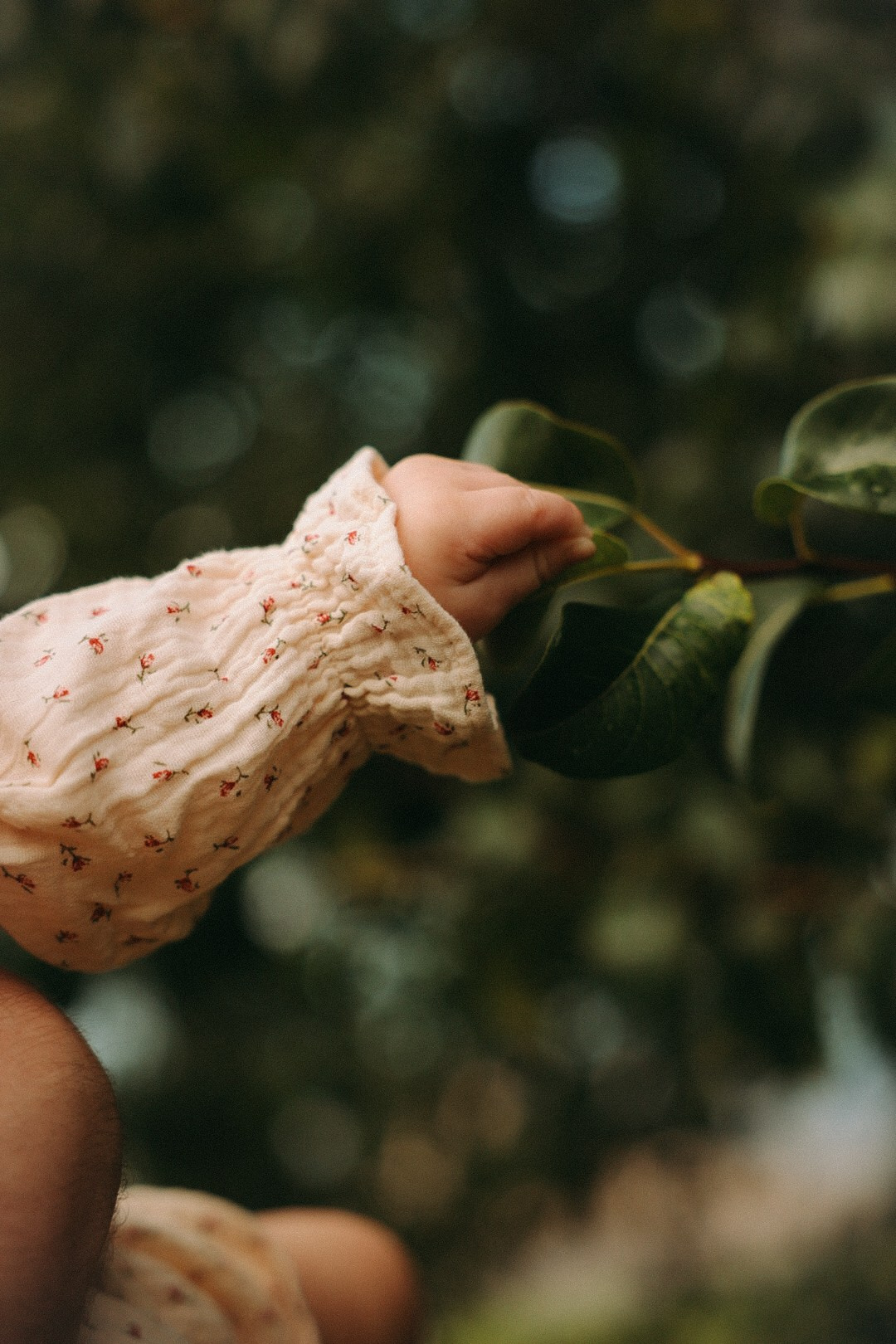 Family. Фотограф Нижний Новгород