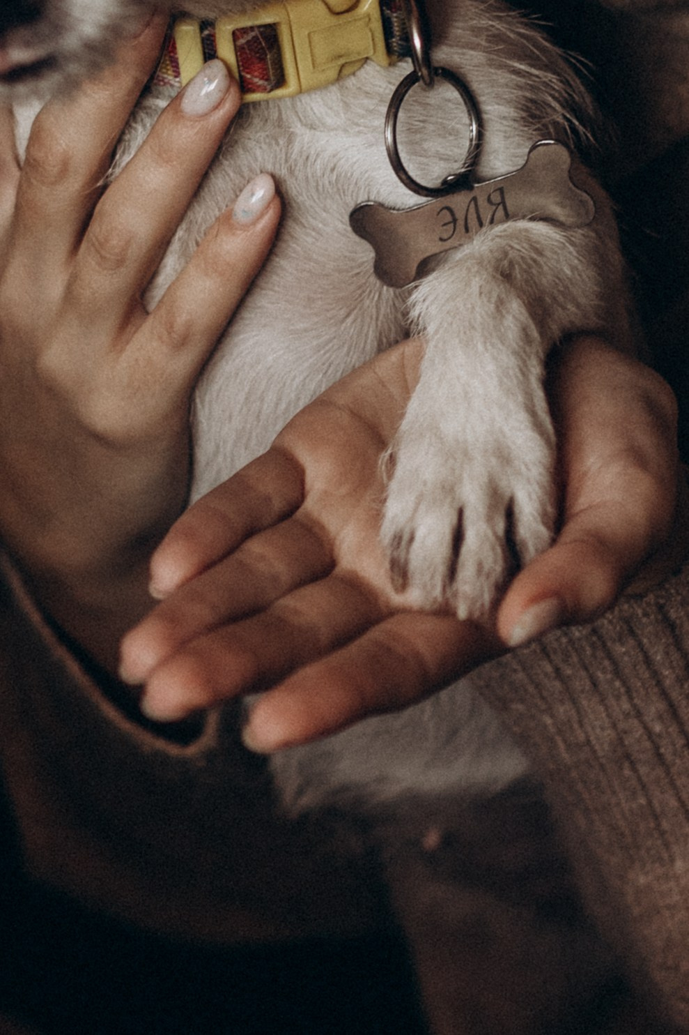 Маша и Алена. Семейный фотограф lifestyle в Новосибирске Елена Шпилевая