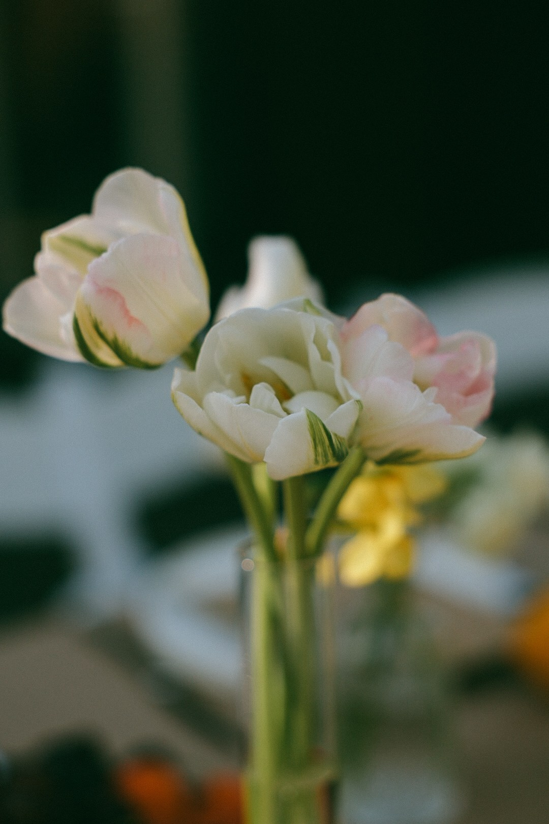 У вас мальчик 🩵. Фотограф Нижний Новгород