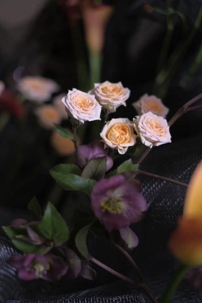 Фото для журнала по профессиональной флористике 2025. Портретные и творческие съемки Санкт-Петребург