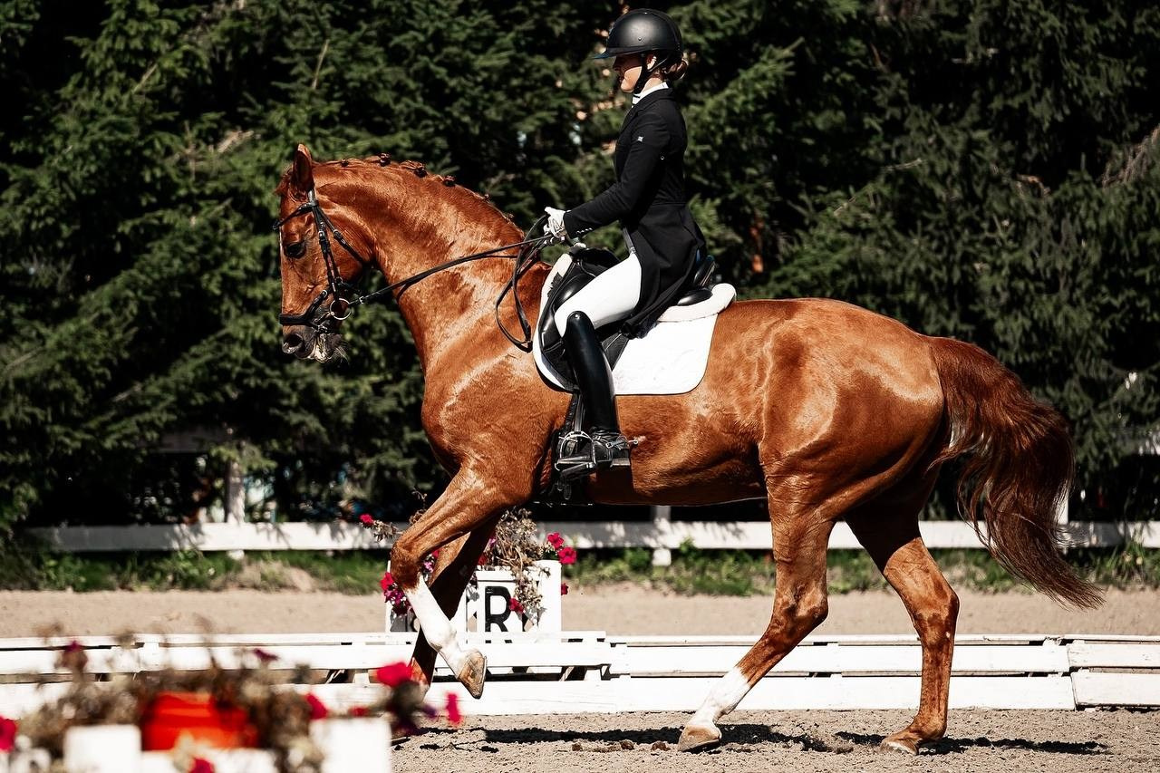 Кубок по ВЫЕЗДКЕ в КСК «РУССКИЙ АЛМАЗ» 8 этап. Куракина Дарья • Конный фотограф