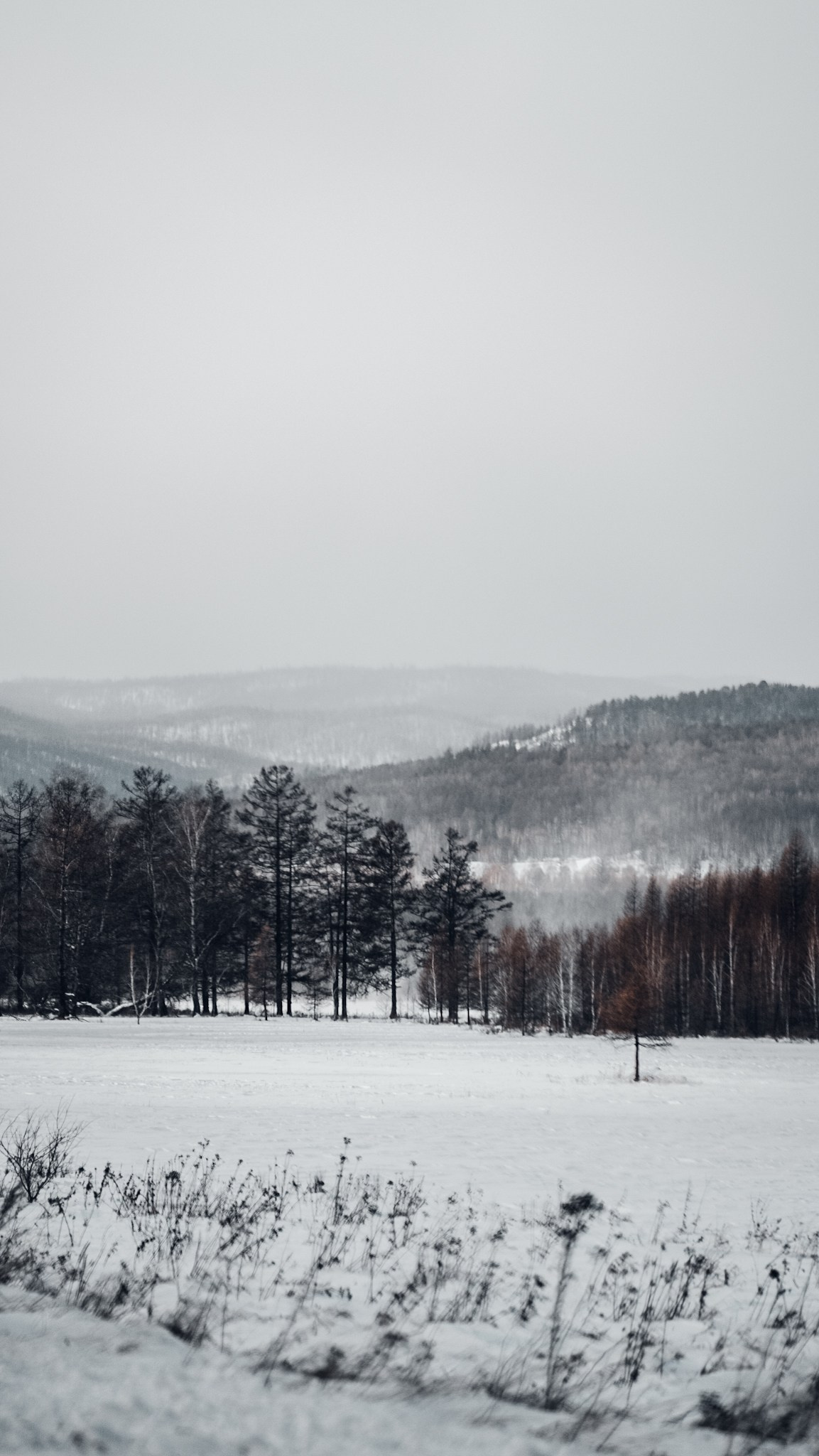 Приисковое. Человек с фотокамерой
