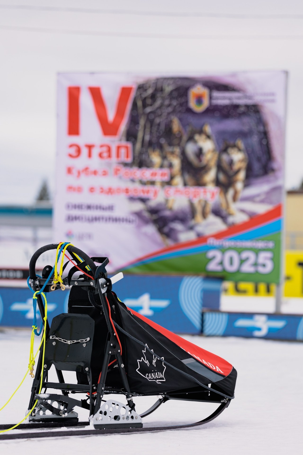 Отзывы. Фотограф Варвара Ермоленко