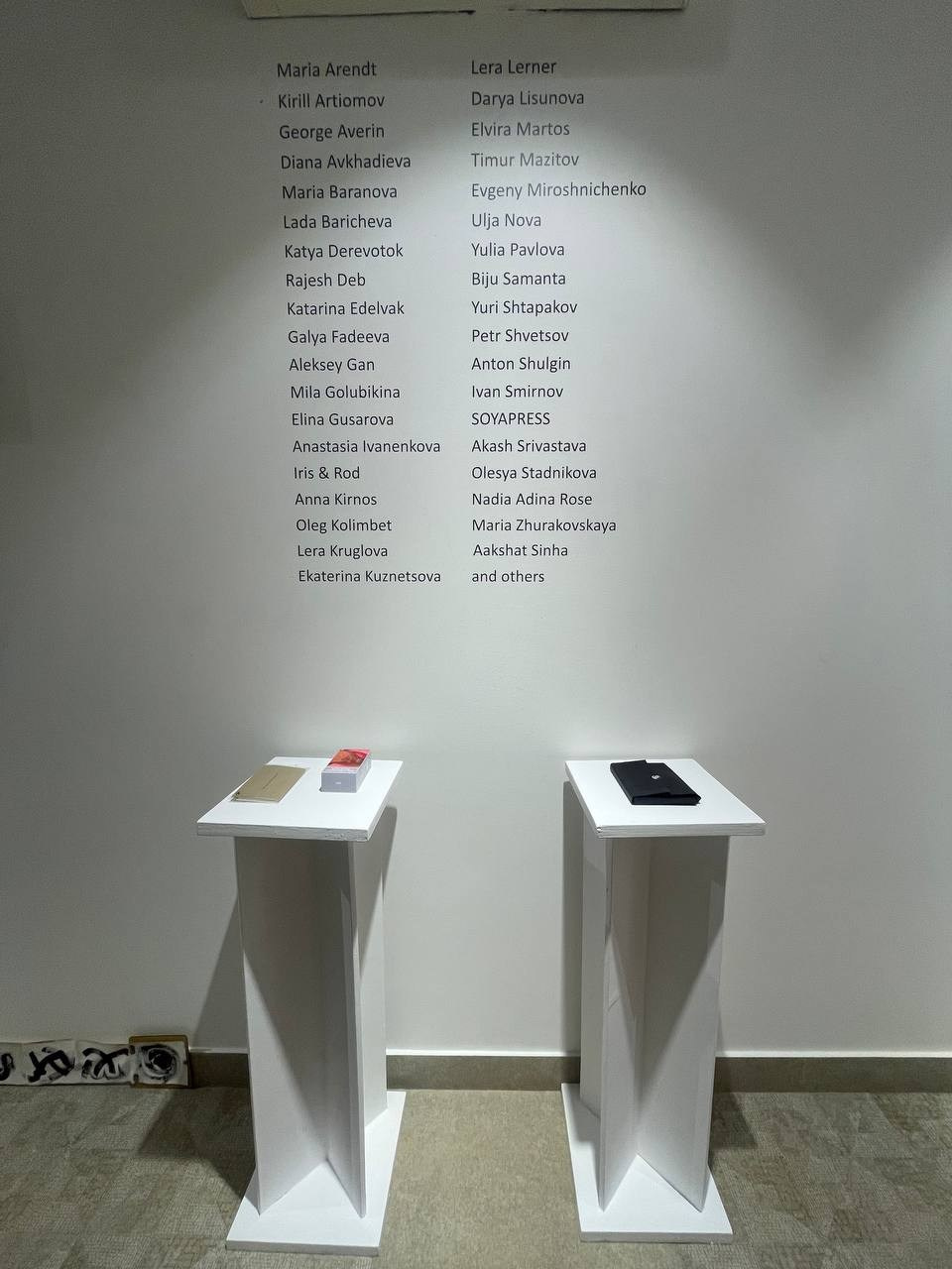 Групповая выставка DARK MATTER, 07-17.12.2024 галерея ONKAF, в Нью-Дели. Лера Круглова