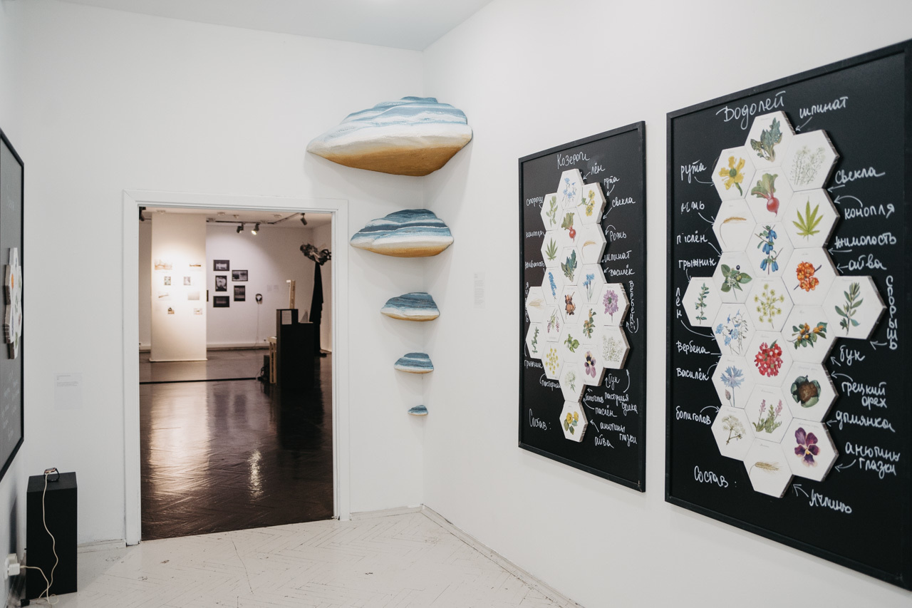 Дневник каньона. Екатерина Васильева художник, куратор и преподаватель