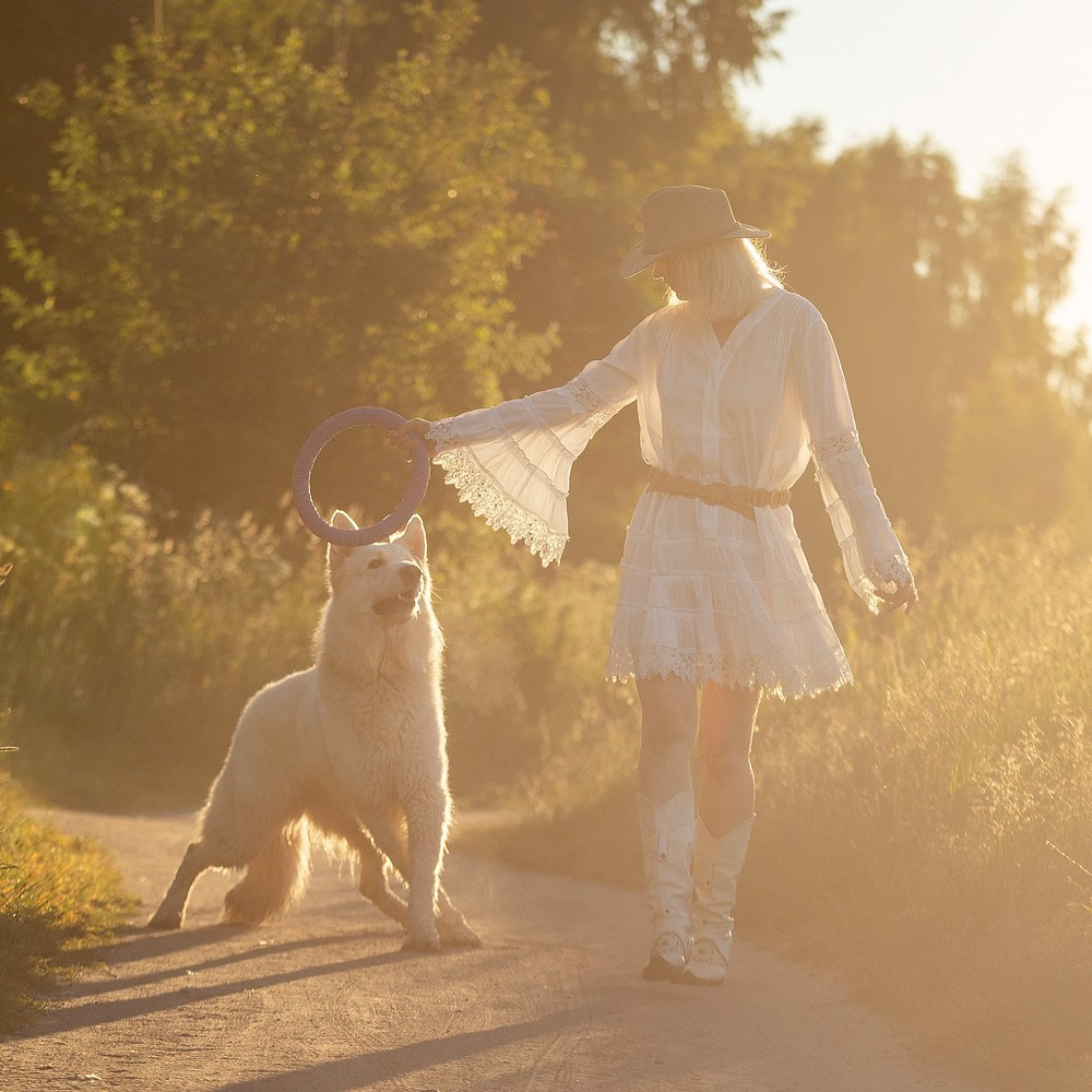 Белая швейцарская овчарка Шон. Фотограф-анималист Natalia Deingel | Фотосъемка собак в Москве