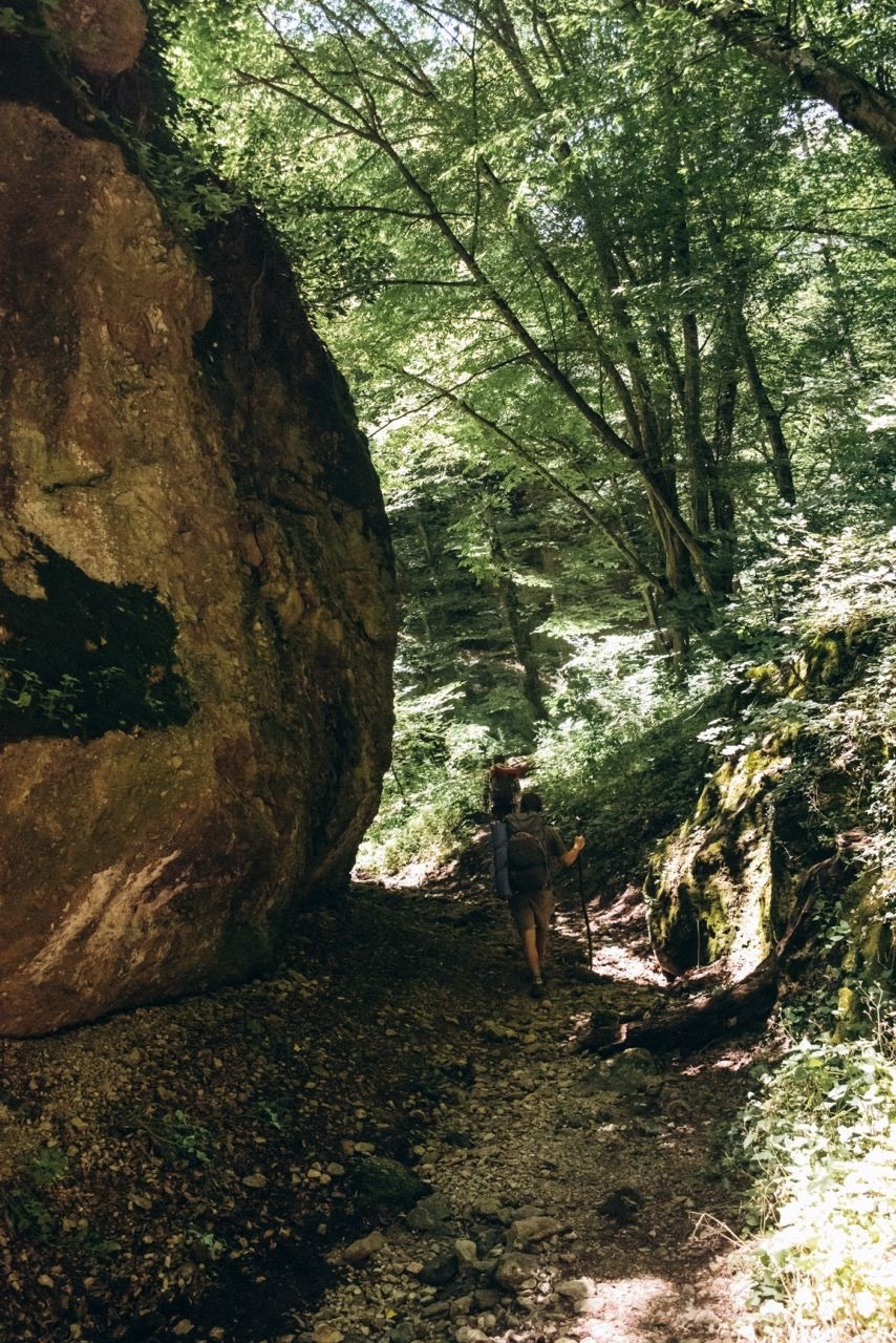 Биртвиси, Грузия 🇬🇪 «Honey Trip». Anita_photo