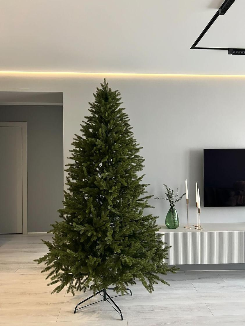 ЛЕСНАЯ. Elki_grodno