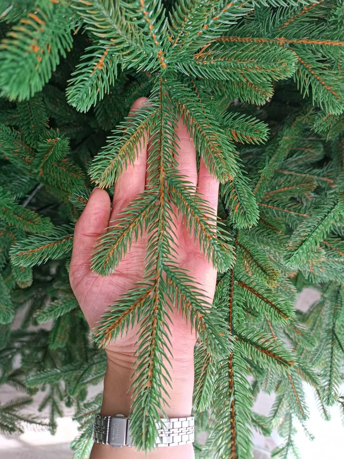 ВЕРСАЛЬ. Elki_grodno