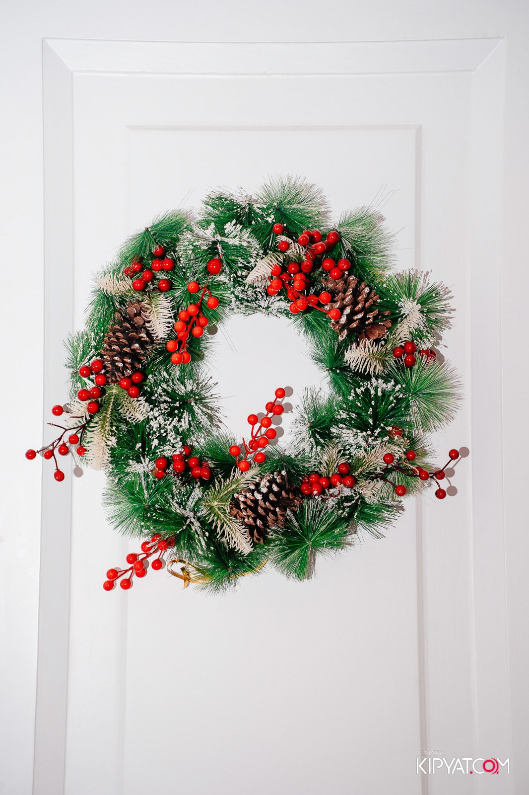 УХО И МЕДВЕДЬ НА КУРМАНГАЗЫ. КИПЯТКОМ АЛМАТЫ!