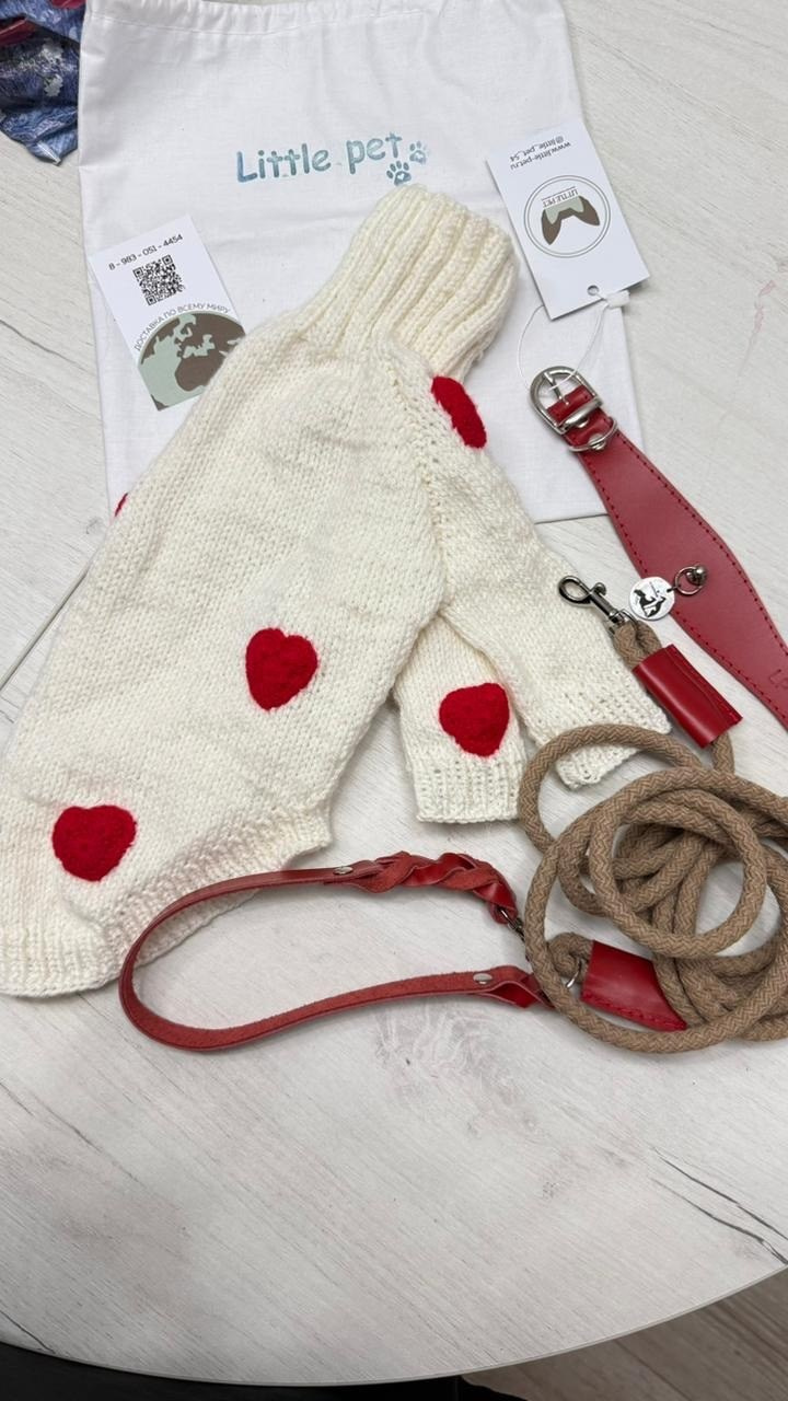 Одежда. Профессиональный питомник левреток РКФ/FCI ASTI SAPPHIRE 💎 Сочи|Санкт-Петербург