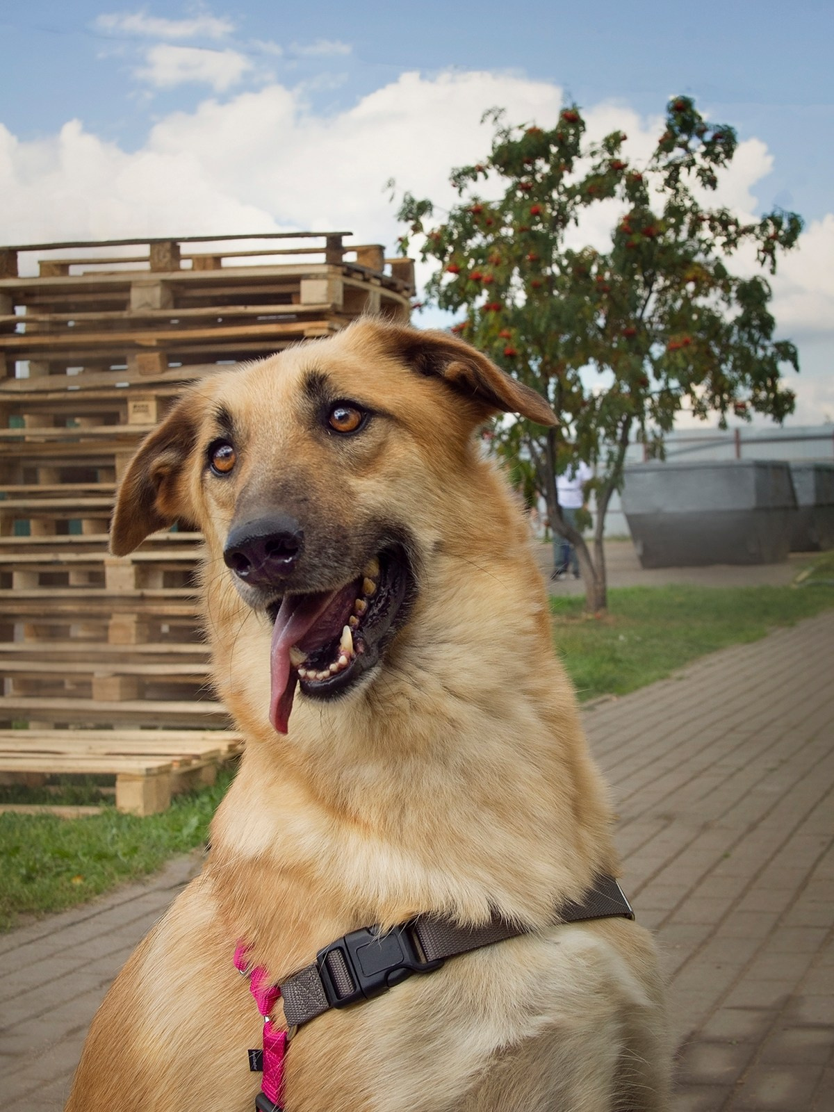 Волонтёрство. Монохромный фотограф