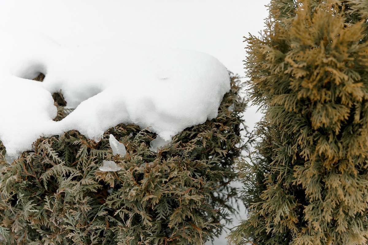 Марина + Роберт. Главная