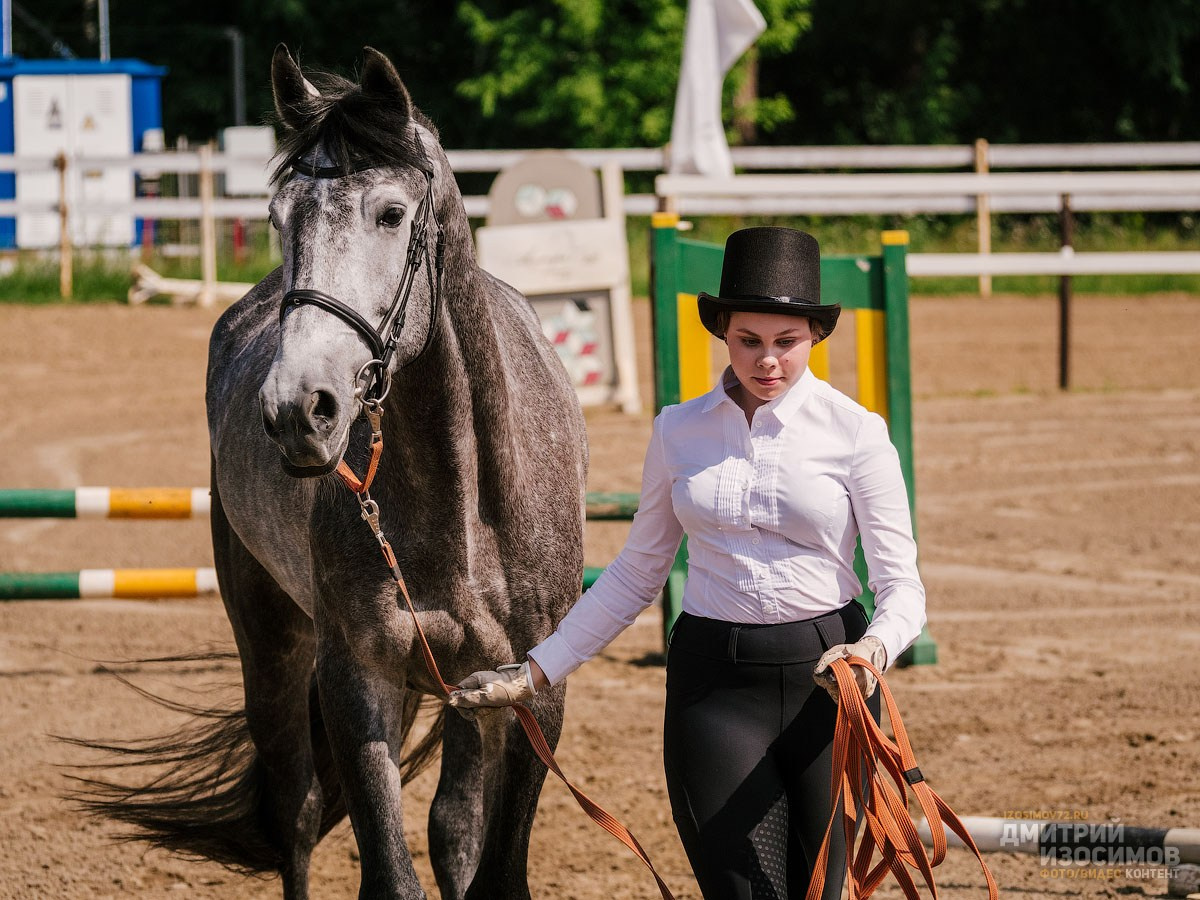 Скачки фаворитов 2024