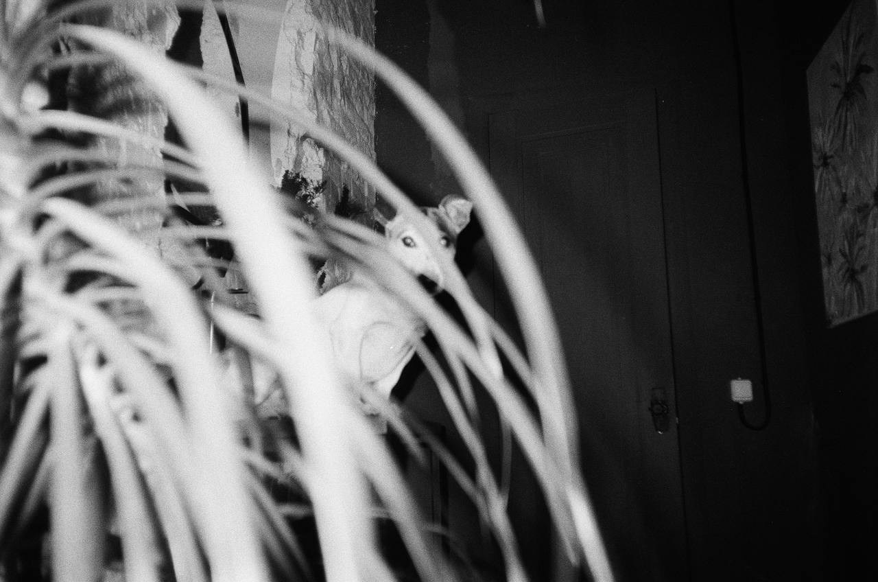 НАШ СТИЛЬ. КОЛЛЕКТИВНЫЙ ТРУД