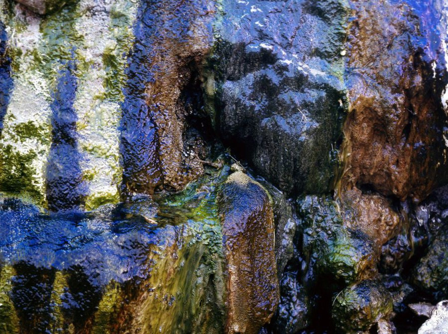 Натёки минералов и водорослей
