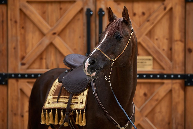 КРАСИВЫЕ МЕСТА В СОЧИ. Свадебный и семейный фотограф/видеограф в Краснодаре Наталья Осинская