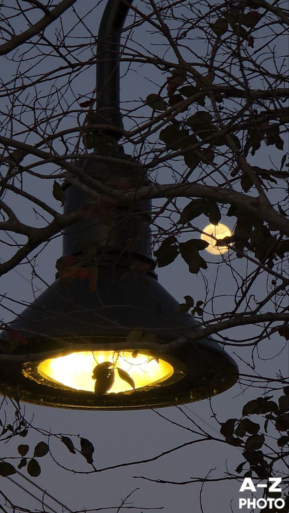 #ФОТОНЕДЕЛИ 05.01.2026. Женский семейный фотограф Тула Москва Захарова Анна