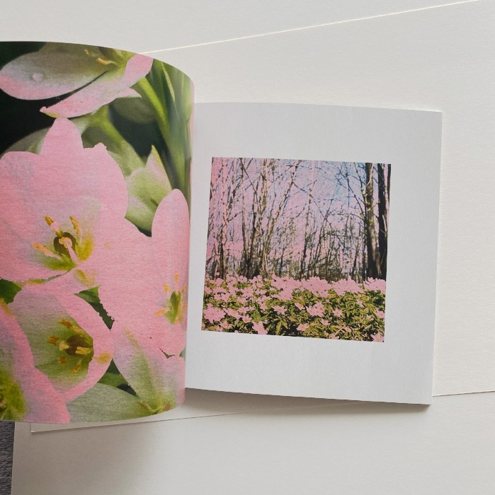 Пробуждение. Visual artist