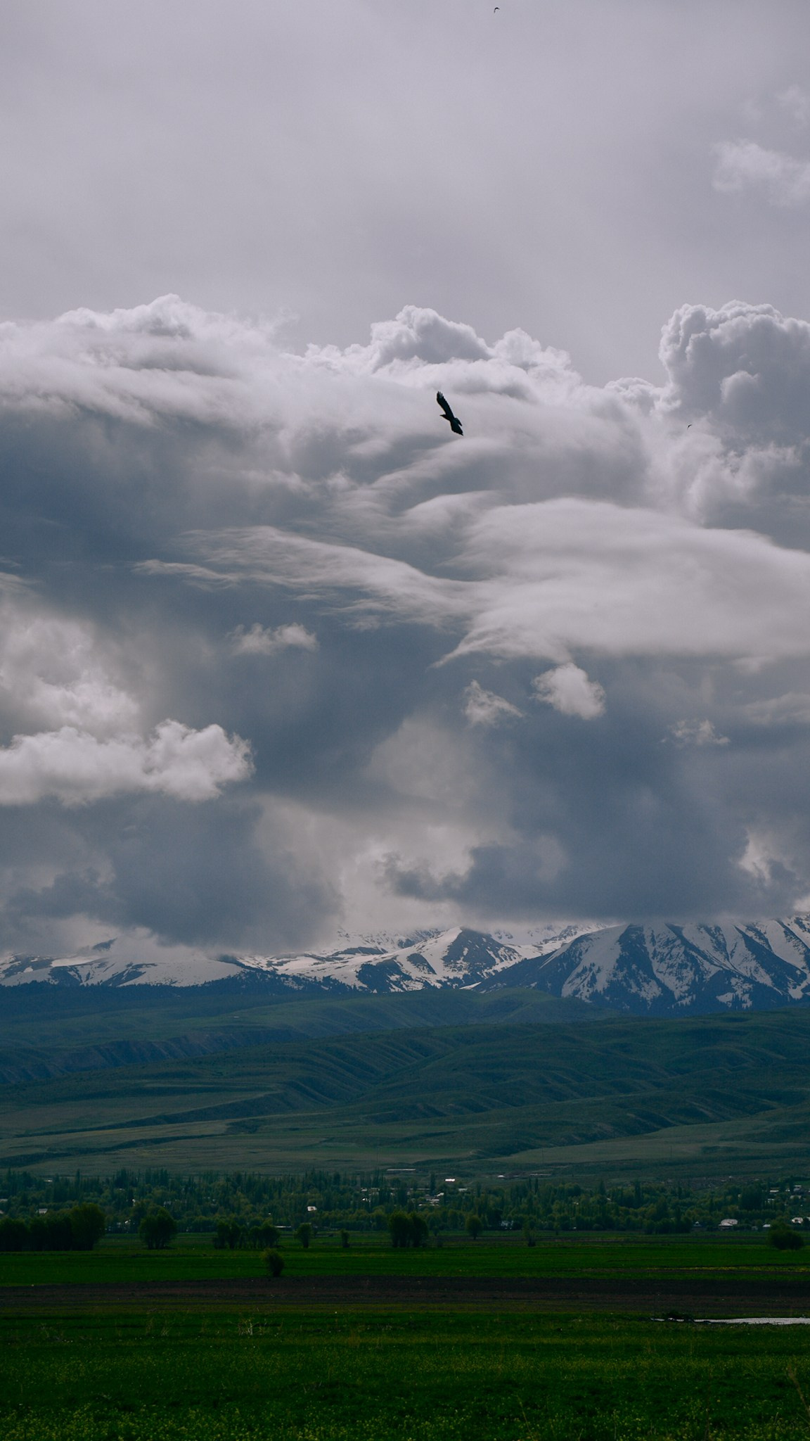 Кыргызстан. Человек с фотокамерой