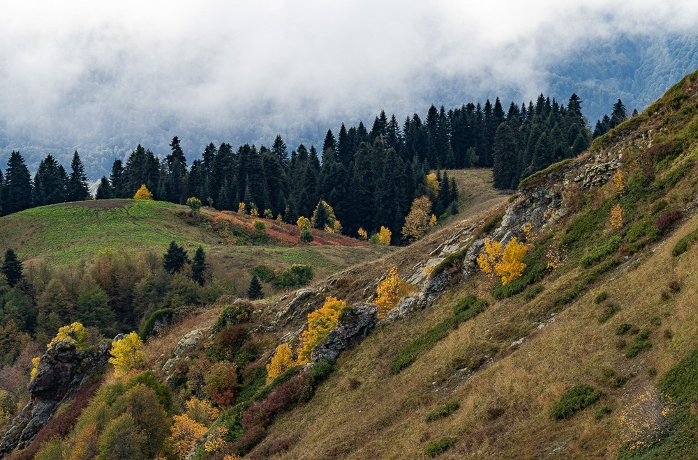 Трейловый бег «Альпиндустрия. Три курорта''. Репортажный фотограф в Красной Поляне и Сочи Павлюченко Екатерина