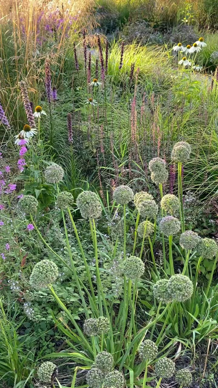 Участок в пейзажном силе. Дизайн интерьера, мебели и ландшафта на КМВ | OXY Design