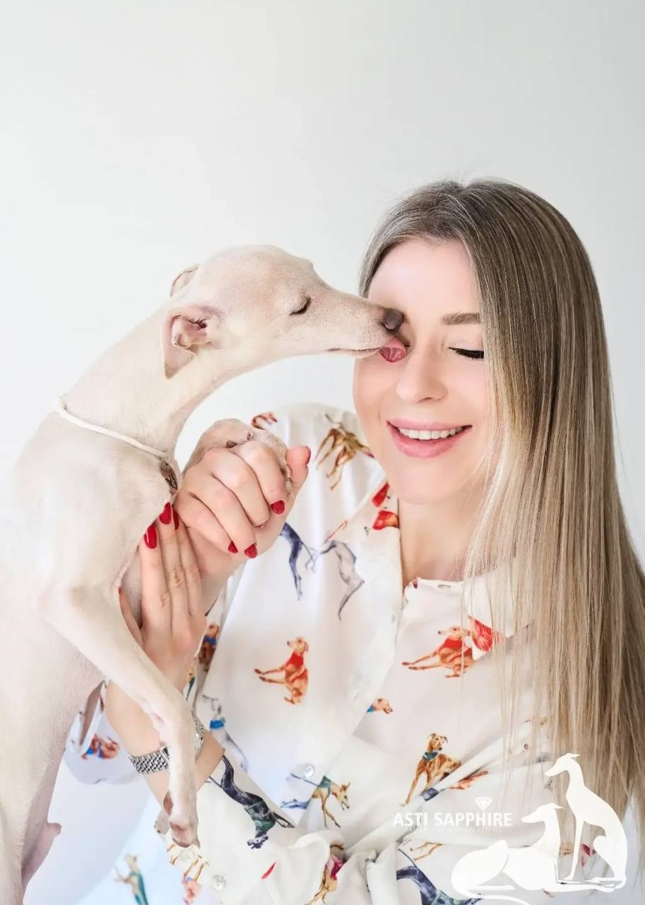 Asti Sapphire Zeus. Профессиональный питомник левреток РКФ/FCI ASTI SAPPHIRE 💎 Сочи|Санкт-Петербург