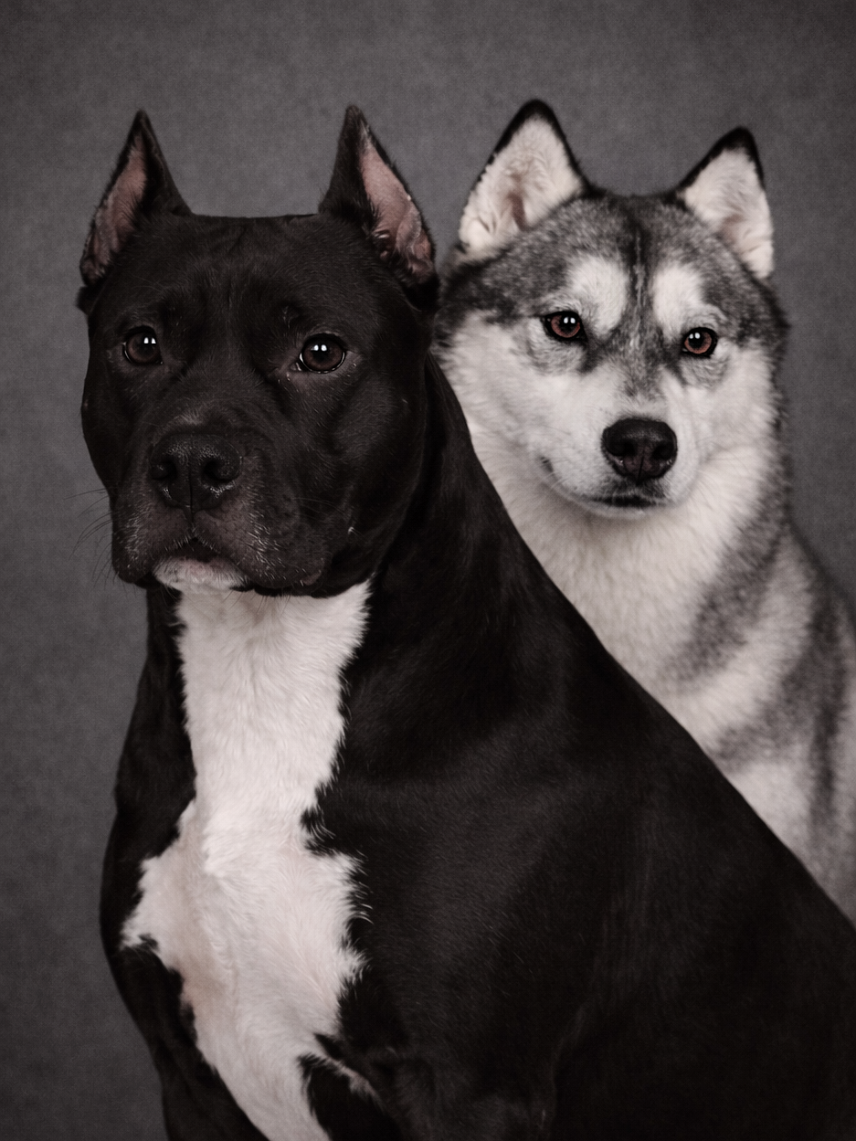 Обработка фото