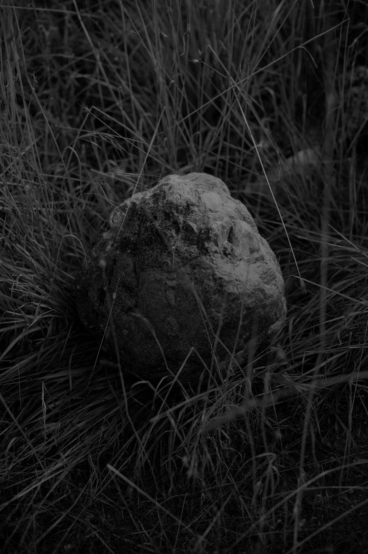 Проект Розы Лакавалла (Rosa Lacavalla) «Sana Sana». Private image