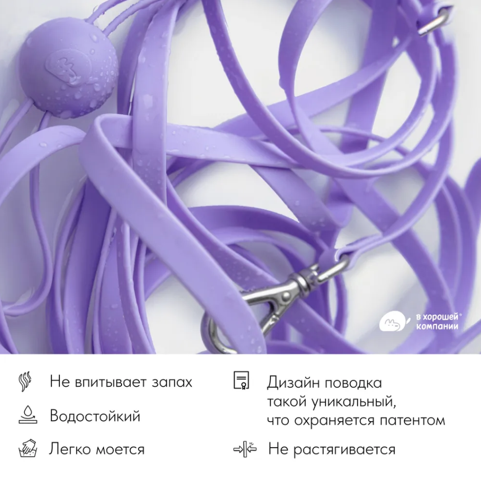 In good company для собак. Фотограф в Москве Татьяна Драгунова