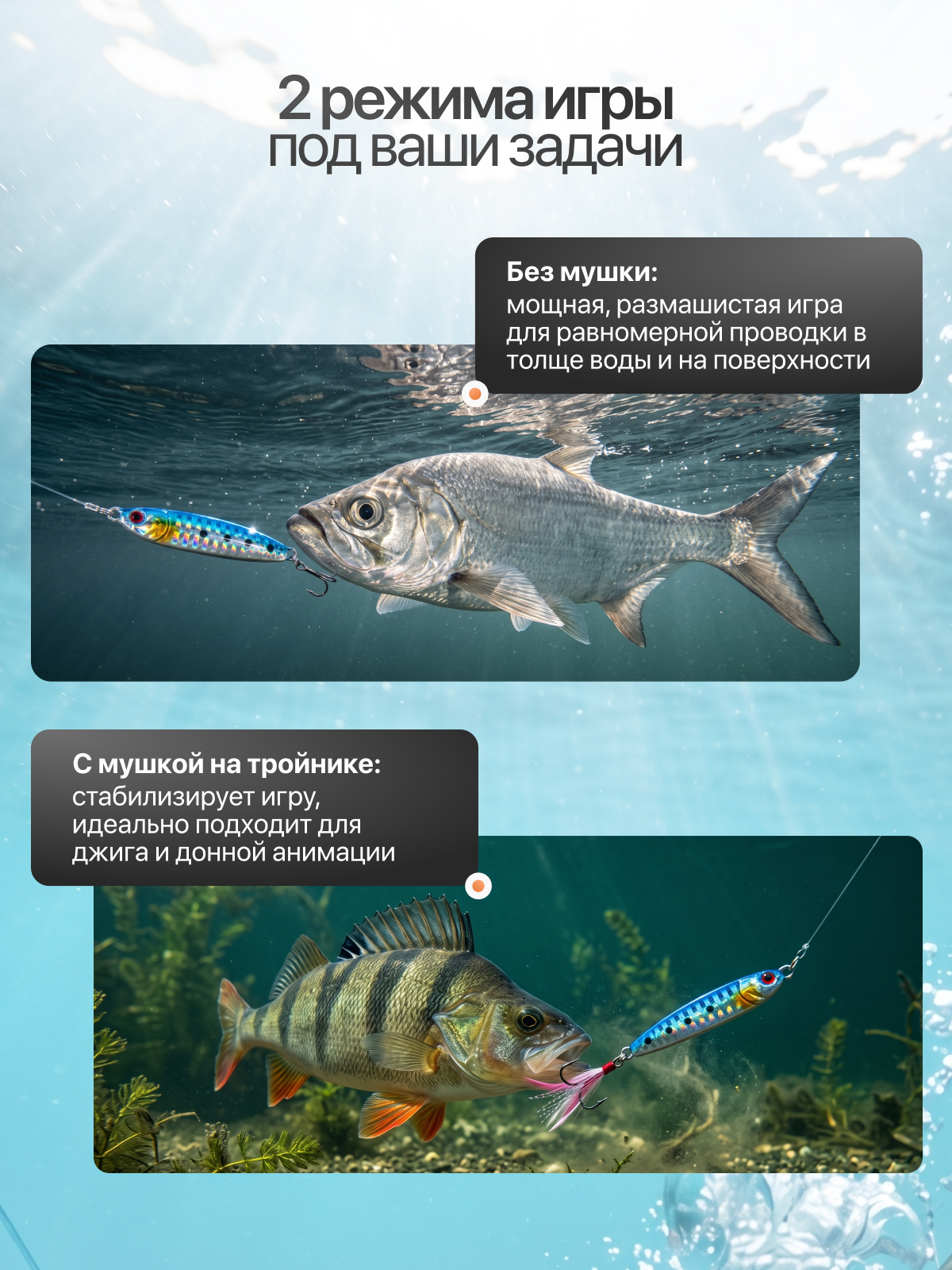 Инфографика. Дмитрий Королев. Ваш предметный фотограф и дизайнер инфографики