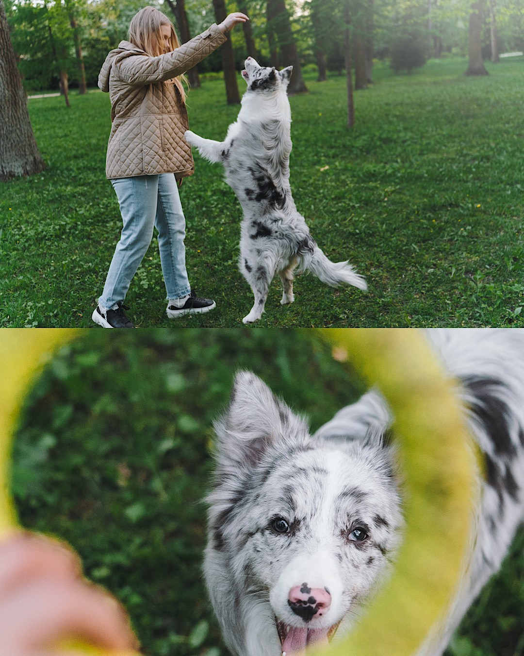 Света, Катрин и Умка. Фотограф анималист в Москве и Санкт-Петербурге Свиридова Анна