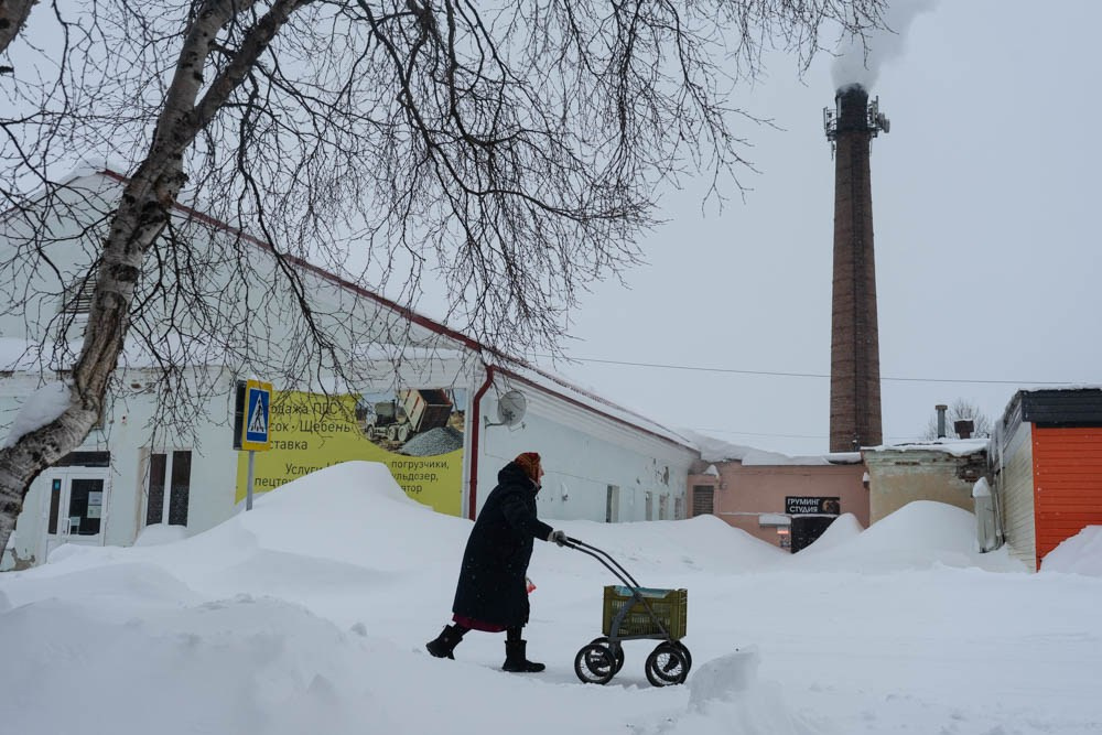 Кораль. На север к оленям. Репортажный фотограф в Сочи — Михаил Мордасов