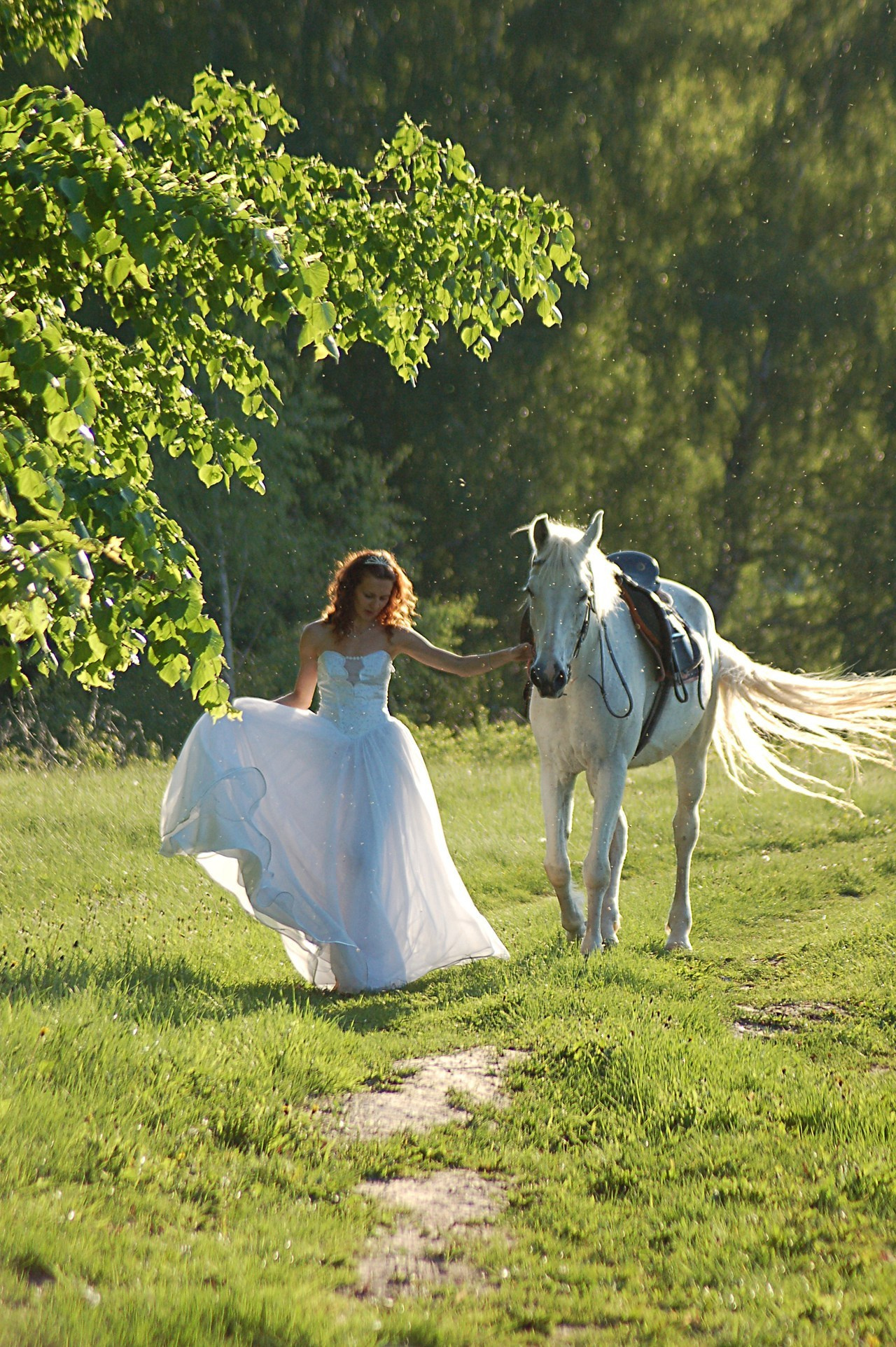 Цены на услуги. Фотостудия Портрет Свадебный и семейный фотограф в Рязани
