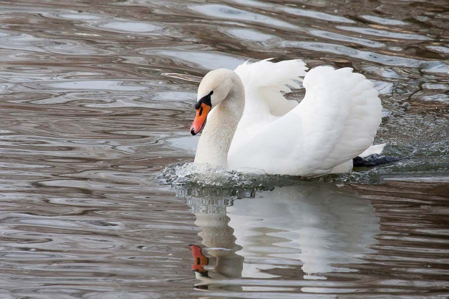 Street art. Фотостудия Алматы. Фотосъемка Алматы. Фотосессия Алматы. Фотокурсы. Обучение фотографии. Аренда студии
