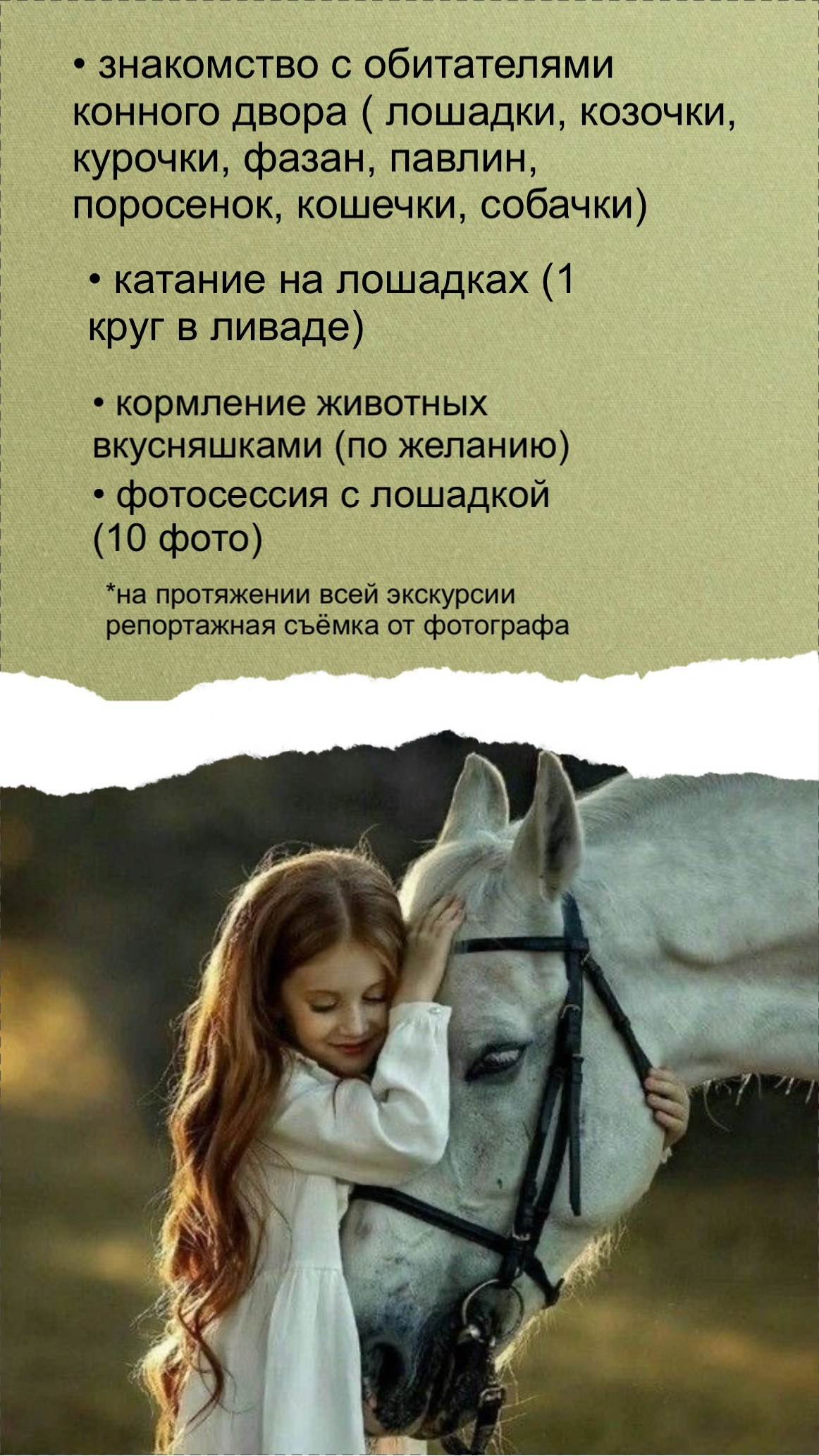 ФОТО-экскурсия «Конный двор». Фотограф Косинова Алёна