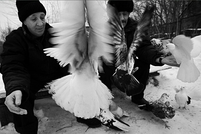 2013— Гран-при. Фотообъединение Самарского областного отделения Союза журналистов России