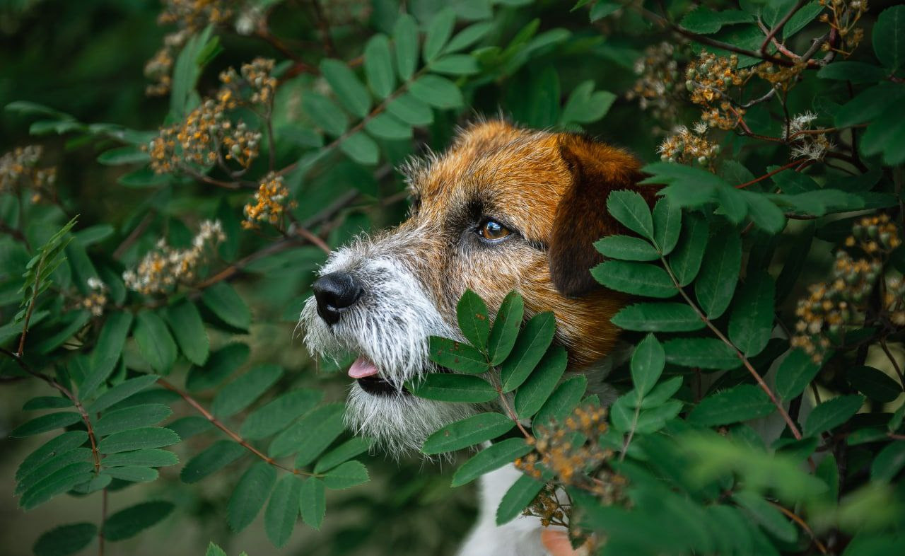 Лаиса Зернова. Фото школа, обучение фотографии в Калининграде
