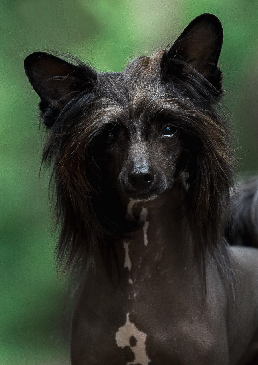 Лаиса Зернова. Фото школа, обучение фотографии в Калининграде