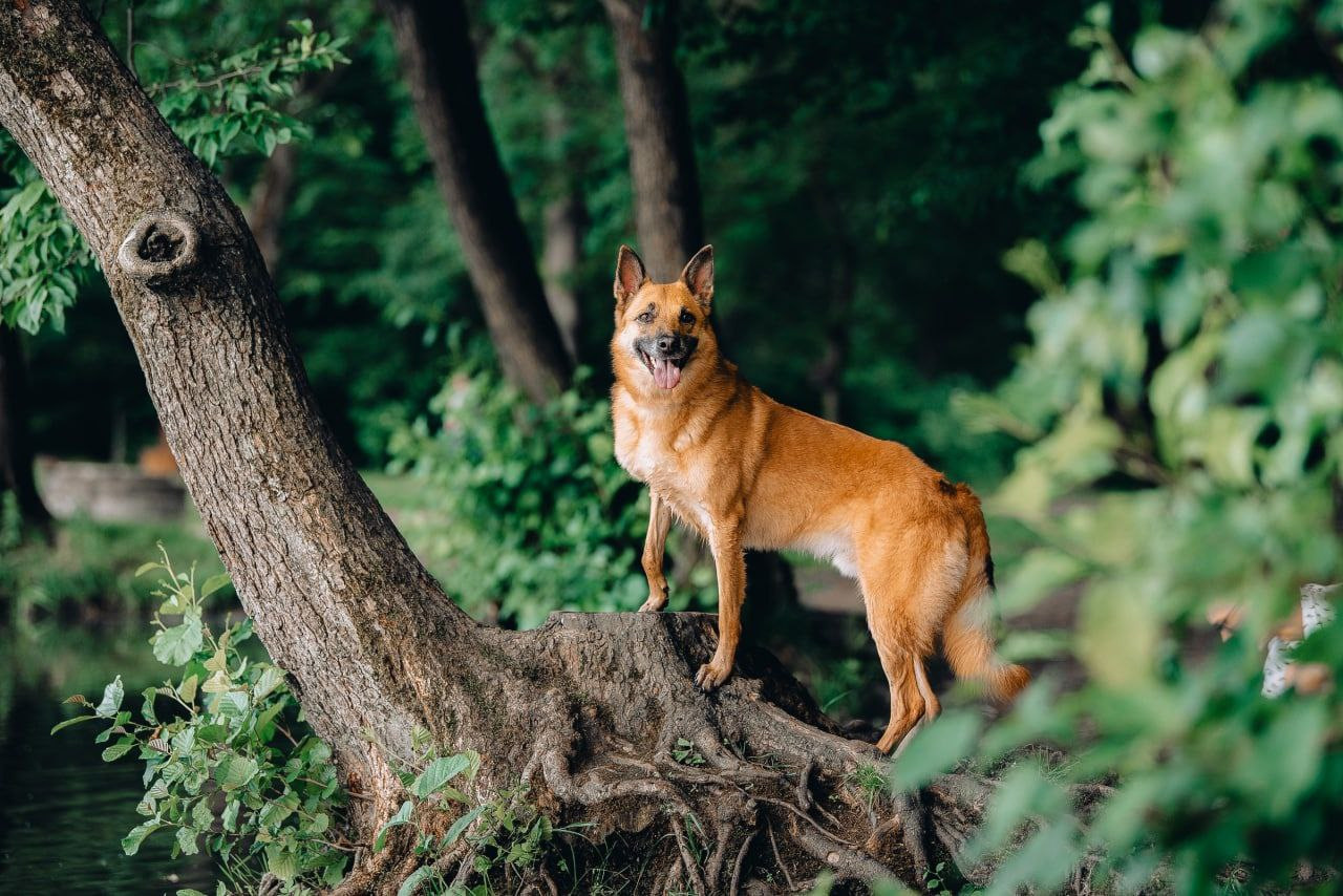 Лаиса Зернова. Фото школа, обучение фотографии в Калининграде